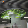 Green Tree' Art Stretch Ceiling | Bring Nature Indoors | Custom Size & UV Print