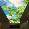 Durable & Waterproof Fireproof & Easy Install Modern Interior Design ECO-Friendly High-Resolution Custom UV Printed PVC Stretch Ceiling - Green Tree Design 