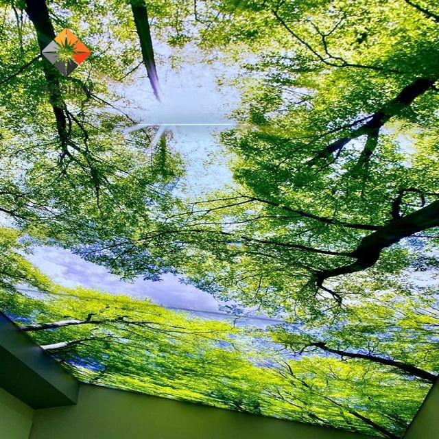 Durable & Waterproof Fireproof & Easy Install Modern Interior Design ECO-Friendly High-Resolution Custom UV Printed PVC Stretch Ceiling - Green Tree Design 