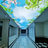 High-Resolution UV Printed PVC Stretch Ceiling For Modern Interiors