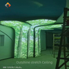 Green Tree' Art Stretch Ceiling | Bring Nature Indoors | Custom Size & UV Print