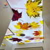 Stretch Ceiling UV Printed Luxury PVC Film Custom Size High-Resolution – Endless Design Possibilities