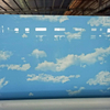 Painted Stretch Ceiling Film – Customizable Elegance for Modern Spaces