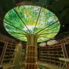 High-Resolution UV Printed PVC Stretch Ceiling For Modern Interiors