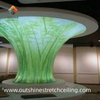 3D Framed Architectural Effect PVC Stretch Ceiling Art - Factory Direct Sales From Chinese Manufacturer.