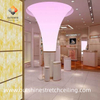 3D Framed Architectural Effect PVC Stretch Ceiling Art - Factory Direct Sales From Chinese Manufacturer.