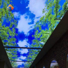 Durable & Waterproof Fireproof & Easy Install Modern Interior Design ECO-Friendly High-Resolution Custom UV Printed PVC Stretch Ceiling - Green Tree Design 